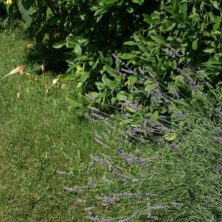 Апартаменты 4180b